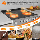 30 Inch Freestanding and Slide-in Kitchen Stove with 4 Burners Ceramic Cooktop-Silver by LJGDeals