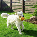 30 PCS Interlocking Artificial Grass Tiles by LJGDeals