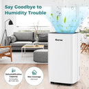 30 Pints 1500 Sq. ft Portable Dehumidifier For Medium To Large Spaces by LJGDeals