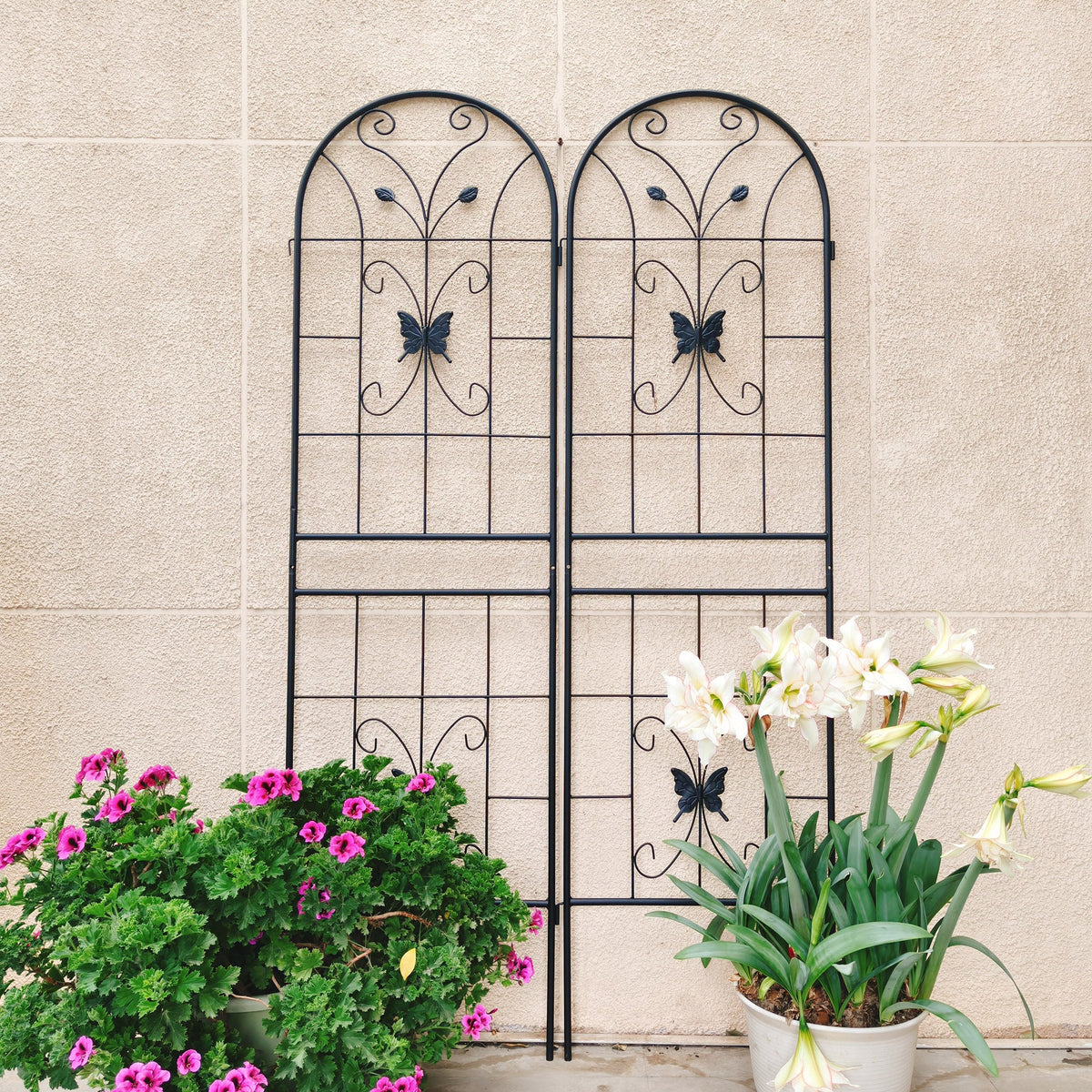 2 Pack Metal Garden Trellis 71" x 19.7" Rustproof Outdoor Support, photo 2 of 10