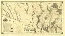 Vintage Map of Pima County, Arizona 1893