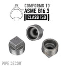 1 1/4 in. Black Plug