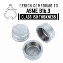 2 in. Galvanized Iron Cap