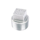 1 in. Galvanized Iron Plug