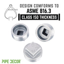 2 in. Galvanized Iron Plug