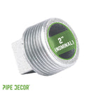 2 in. Galvanized Iron Plug