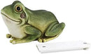 Hide a Key Frog Hand Painted Polyresin Outdoor Statue and Key Holder,Look and Feels Like a Real Frog for Yard,Garden,Patio by GreenHaven Gardens