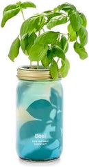Modern Sprout Mason Garden Jar - Self-Watering Hydroponics Growing System Kit with Organic Herb Seeds - Jar Planter for Indoor Herb Garden - Seed Starter Kit - Home Decor & Gifting - Basil by GreenHaven Gardens