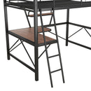 Loft Bed With Desk And Shelf, Modern Design by HouseOfZazla