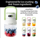 BlendGo Portable Blender