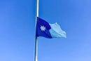 TOPFLAGS New Minnesota State Flag 3x5 Ft 210D MN Flags Heavy Duty Longest Lasting Sewn Stripes Embroidered Star Stronger Brass Grommets 4 Stitched Hemming Outdoor Vivid Color Fade Resistant Perfect for Outside by GreenHaven Gardens