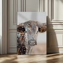 Texas Longhorn Wall Art Canvas Print – Speckled Horned Bull