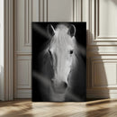 Large Wall Art White Horse Canvas Print