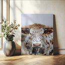 Texas Longhorn Wall Art Canvas Print – Spotted Horned Cattle
