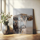 Texas Longhorn Wall Art Canvas Print – Speckled Horned Bull