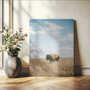 Bison Photography Wall Art Canvas Print – Framed Western