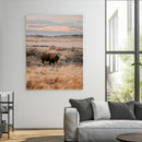 Solitary Buffalo Wall Art Canvas Print – Framed Golden