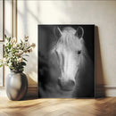 Large Wall Art White Horse Canvas Print