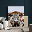 Texas Longhorn Wall Art Canvas Print – Spotted Horned Cattle