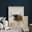 Texas Longhorn Wall Art Canvas Print – Brown Horned Bull