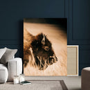 Bison Portrait Wall Art Canvas Print – Framed Western by MyGreatCanvas | Canvas Wall Art Prints | Photo Prints & Wall Decor