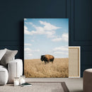 Bison Photography Wall Art Canvas Print – Framed Western by MyGreatCanvas | Canvas Wall Art Prints | Photo Prints & Wall Decor