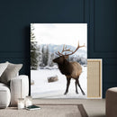 Elk Photography Wall Art Canvas Print – Framed Winter by MyGreatCanvas | Canvas Wall Art Prints | Photo Prints & Wall Decor