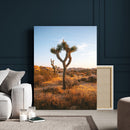 Joshua Tree Wall Art Canvas Print – Framed Golden Hour