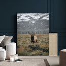 Wild Elk Wall Art Canvas Print – Framed Mountain Wilderness