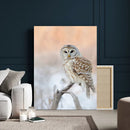 Barred Owl Wall Art Canvas Print – Soft Neutral Wildlife by MyGreatCanvas | Canvas Wall Art Prints | Photo Prints & Wall Decor