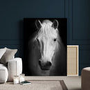 Large Wall Art White Horse Canvas Print