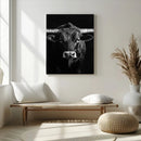 Texas Longhorn Wall Art Canvas Print – Monochrome Horned