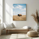 Bison Photography Wall Art Canvas Print – Framed Western by MyGreatCanvas | Canvas Wall Art Prints | Photo Prints & Wall Decor