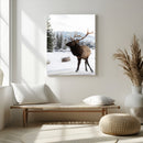 Elk Photography Wall Art Canvas Print – Framed Winter by MyGreatCanvas | Canvas Wall Art Prints | Photo Prints & Wall Decor