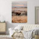 Solitary Buffalo Wall Art Canvas Print – Framed Golden