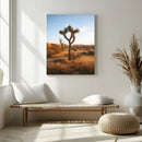 Joshua Tree Wall Art Canvas Print – Framed Golden Hour