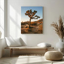 Joshua Tree Wall Art Canvas Print – Framed Desert Sunset by MyGreatCanvas | Canvas Wall Art Prints | Photo Prints & Wall Decor