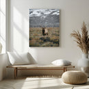 Wild Elk Wall Art Canvas Print – Framed Mountain Wilderness