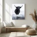 Frosty Black Highland Wall Art Canvas Print – Framed Moody