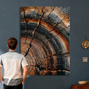 Abstract Tree Rings Wall Art Canvas Print Wood Grain Rings