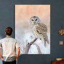 Barred Owl Wall Art Canvas Print – Soft Neutral Wildlife by MyGreatCanvas | Canvas Wall Art Prints | Photo Prints & Wall Decor