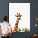 Giraffe Wall Art Canvas Print – Minimal Wildlife Photography by MyGreatCanvas | Canvas Wall Art Prints | Photo Prints & Wall Decor