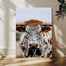 Texas Longhorn Wall Art Canvas Print – Spotted Horned Cattle