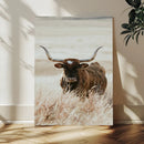Texas Longhorn Wall Art Canvas Print – Brown Horned Bull
