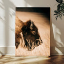Bison Portrait Wall Art Canvas Print – Framed Western by MyGreatCanvas | Canvas Wall Art Prints | Photo Prints & Wall Decor