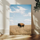 Bison Photography Wall Art Canvas Print – Framed Western by MyGreatCanvas | Canvas Wall Art Prints | Photo Prints & Wall Decor