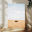 Minimalist Nature Wall Art Canvas Print – Framed Bison