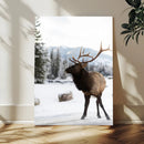 Elk Photography Wall Art Canvas Print – Framed Winter by MyGreatCanvas | Canvas Wall Art Prints | Photo Prints & Wall Decor
