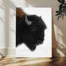 Western Rustic Wall Art Canvas Print – Framed Buffalo Black
