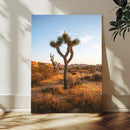 Joshua Tree Wall Art Canvas Print – Framed Golden Hour by MyGreatCanvas | Canvas Wall Art Prints | Photo Prints & Wall Decor
